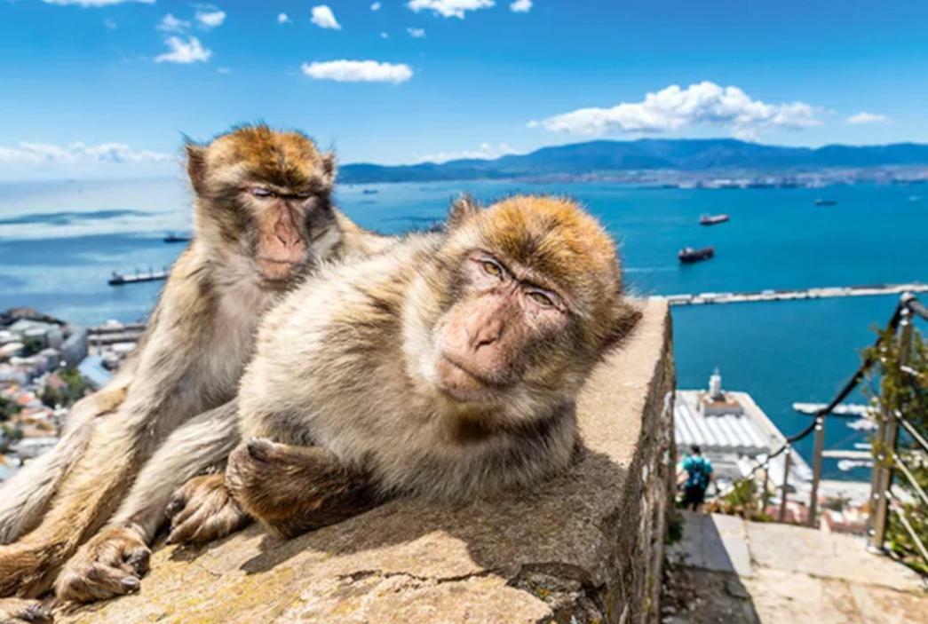 Luxury Yacht Stay "White Dove" Sleeps 6 Gibraltar Exteriér fotografie